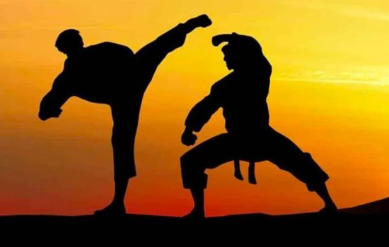 Martial Arts Learning App: Judo and Karate Skills