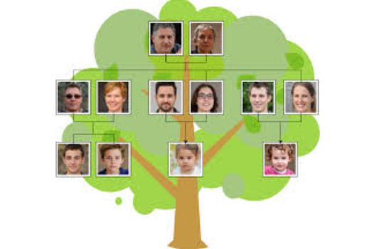 Discover Your Heritage with Ancestry DNA App