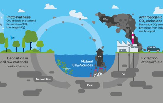 Carbon Tracker App: Monitor Your CO₂ Emissions