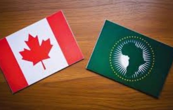 Canada vs. Africa: Niche App Market Comparison